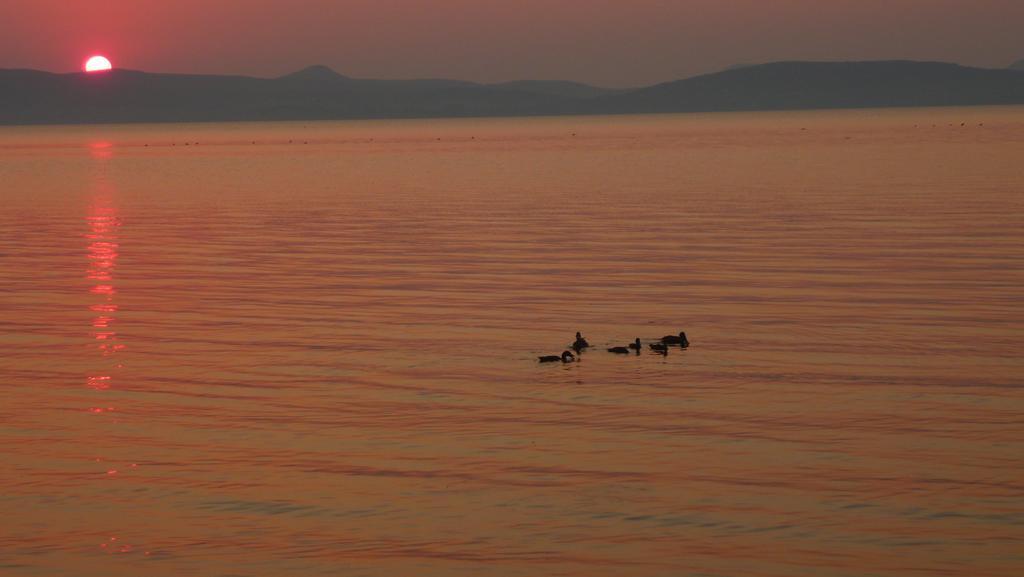 Aranyhid Hotel Balatonboglár 외부 사진